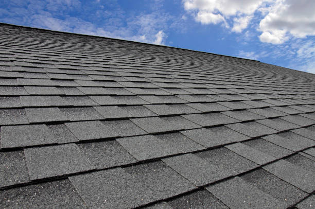 Best Roof Moss and Algae Removal  in Punxsutawney, PA